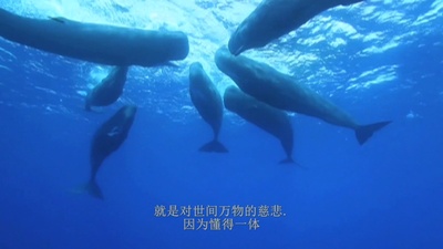 万物一体剧照的剧照