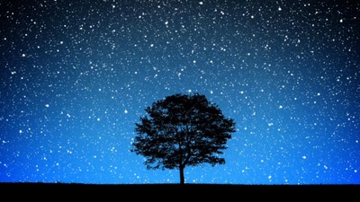 万物一体剧照的剧照