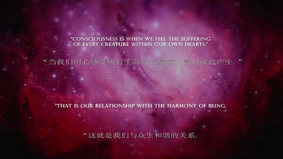 万物一体剧照的剧照