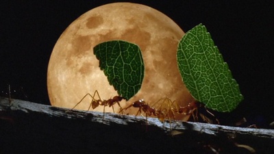 万物一体剧照的剧照