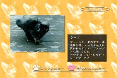 小猫虎子剧照的剧照