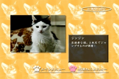 小猫虎子剧照的剧照