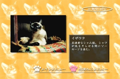 小猫虎子剧照的剧照