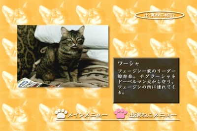 小猫虎子剧照的剧照