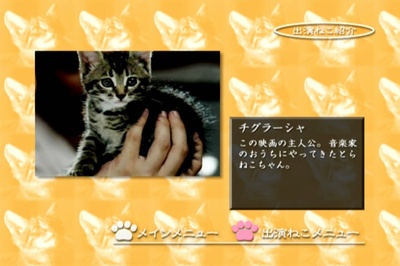 小猫虎子剧照的剧照