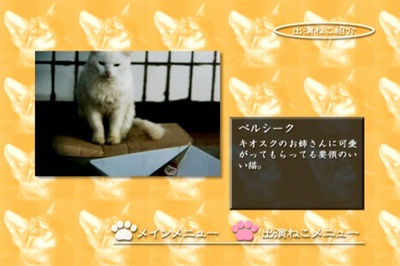 小猫虎子剧照的剧照