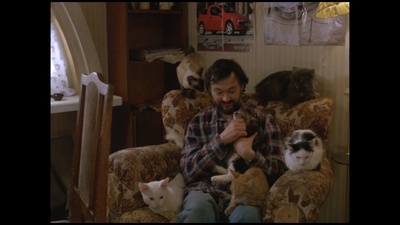 小猫虎子剧照的剧照