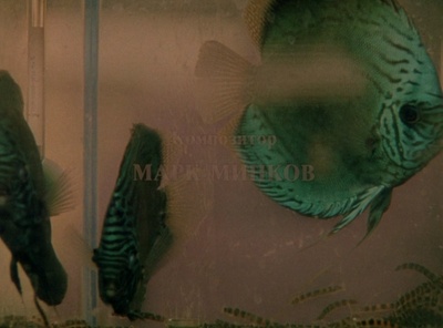 小猫虎子剧照的剧照