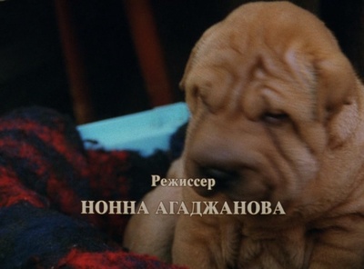 小猫虎子剧照的剧照