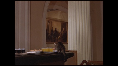 小猫虎子剧照的剧照