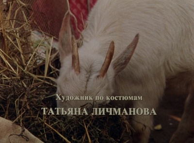 小猫虎子剧照的剧照