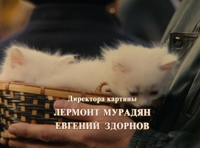 小猫虎子剧照的剧照