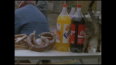 小猫虎子剧照的剧照