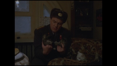 小猫虎子剧照的剧照