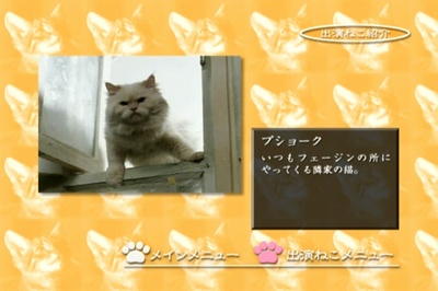 小猫虎子剧照的剧照