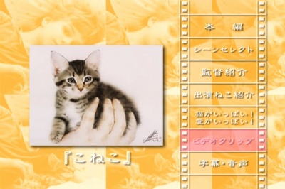 小猫虎子剧照的剧照