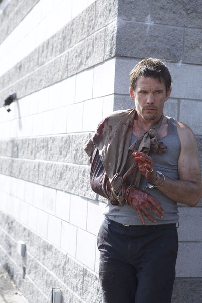 辛白林剧照的剧照