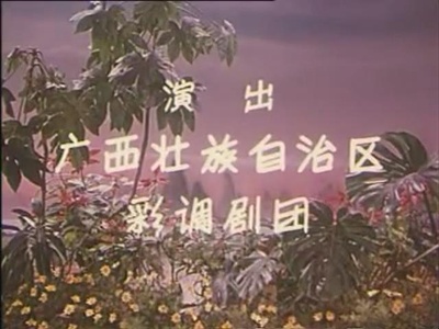 三朵小红花剧照的剧照