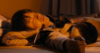 为什么猫都叫不来剧照的剧照