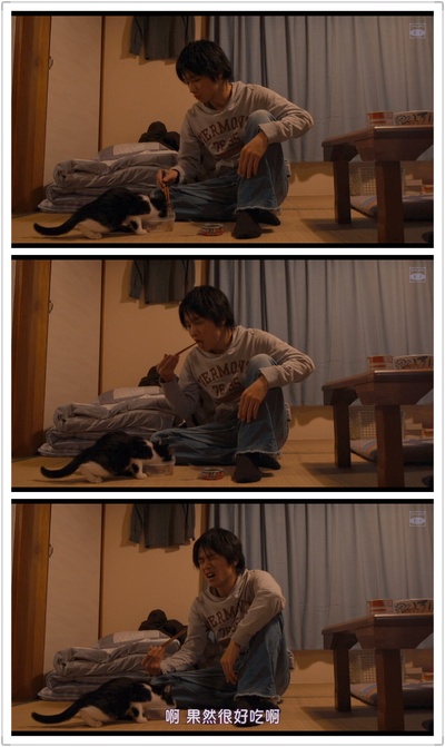 为什么猫都叫不来剧照的剧照