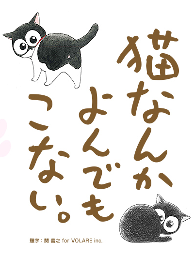 为什么猫都叫不来剧照的剧照