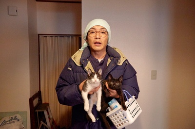 为什么猫都叫不来剧照的剧照