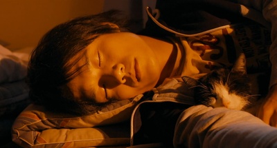 为什么猫都叫不来剧照的剧照