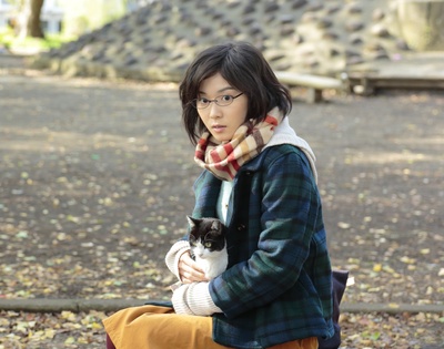 为什么猫都叫不来剧照的剧照