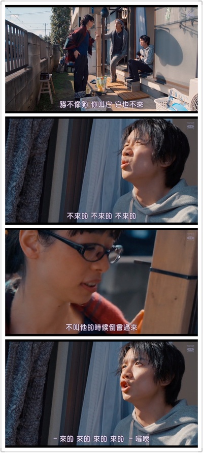 为什么猫都叫不来剧照的剧照