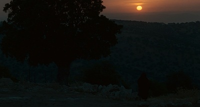 焦土之城剧照的剧照