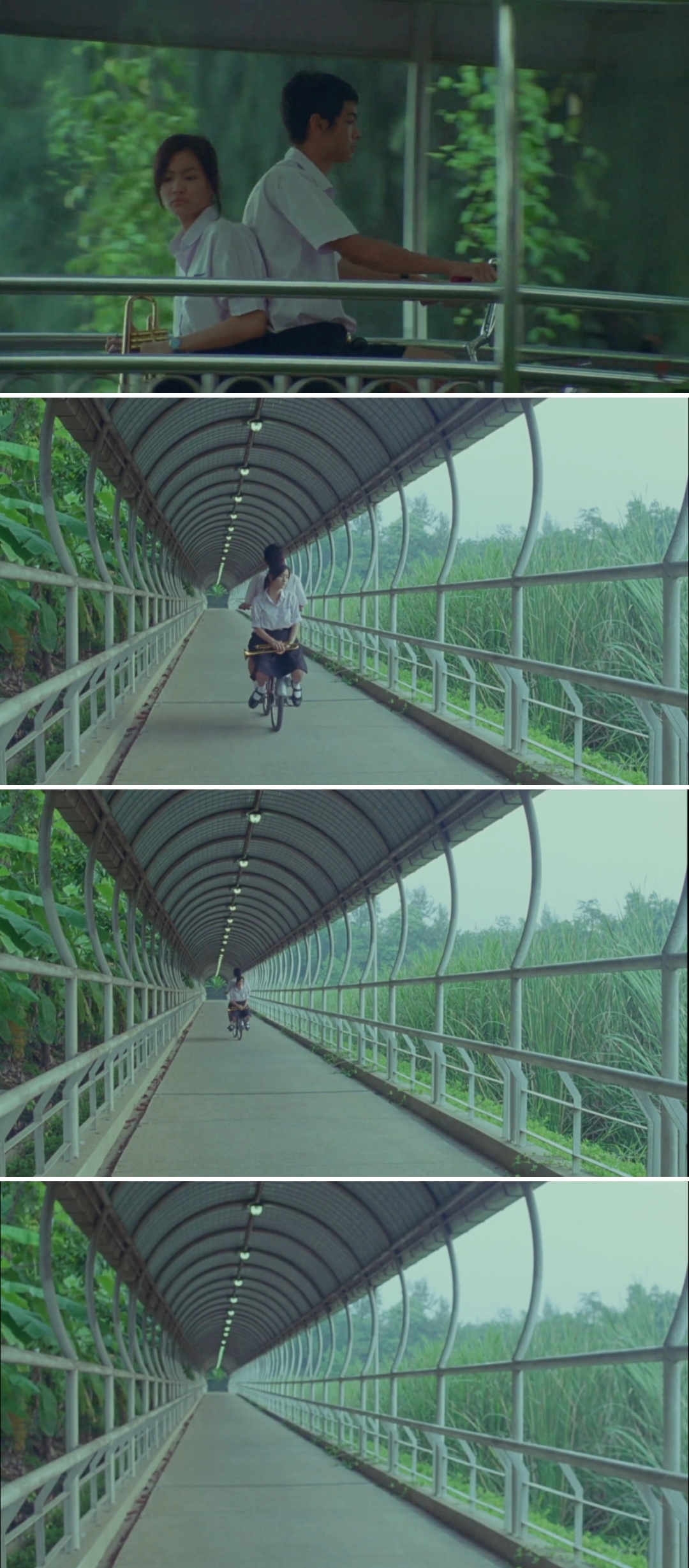 季节变幻剧照的剧照