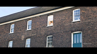 三枪隐情剧照的剧照