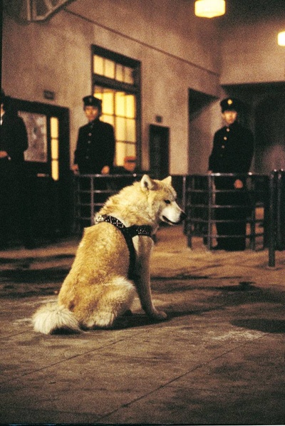 忠犬八公物语剧照的剧照