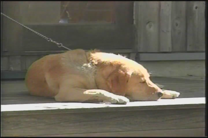 椎名誠とあやしい探検隊 風と気ままに里山歩き剧照的剧照