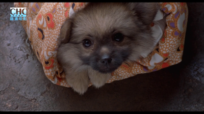 我们俩剧照的剧照