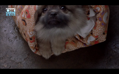 我们俩剧照的剧照