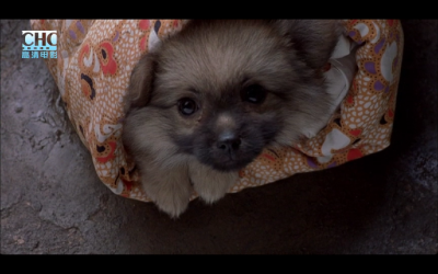 我们俩剧照的剧照