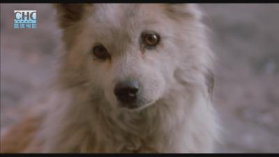 我们俩剧照的剧照