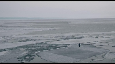 在西伯利亚森林中剧照的剧照