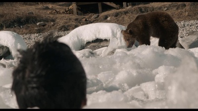 在西伯利亚森林中剧照的剧照