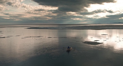 在西伯利亚森林中剧照的剧照