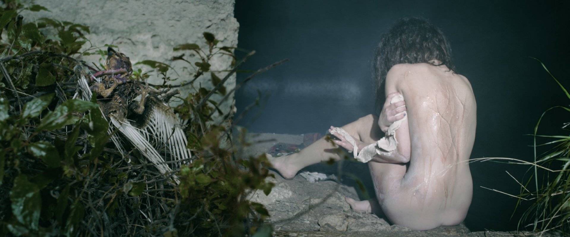 爱在初春惊变时剧照的剧照