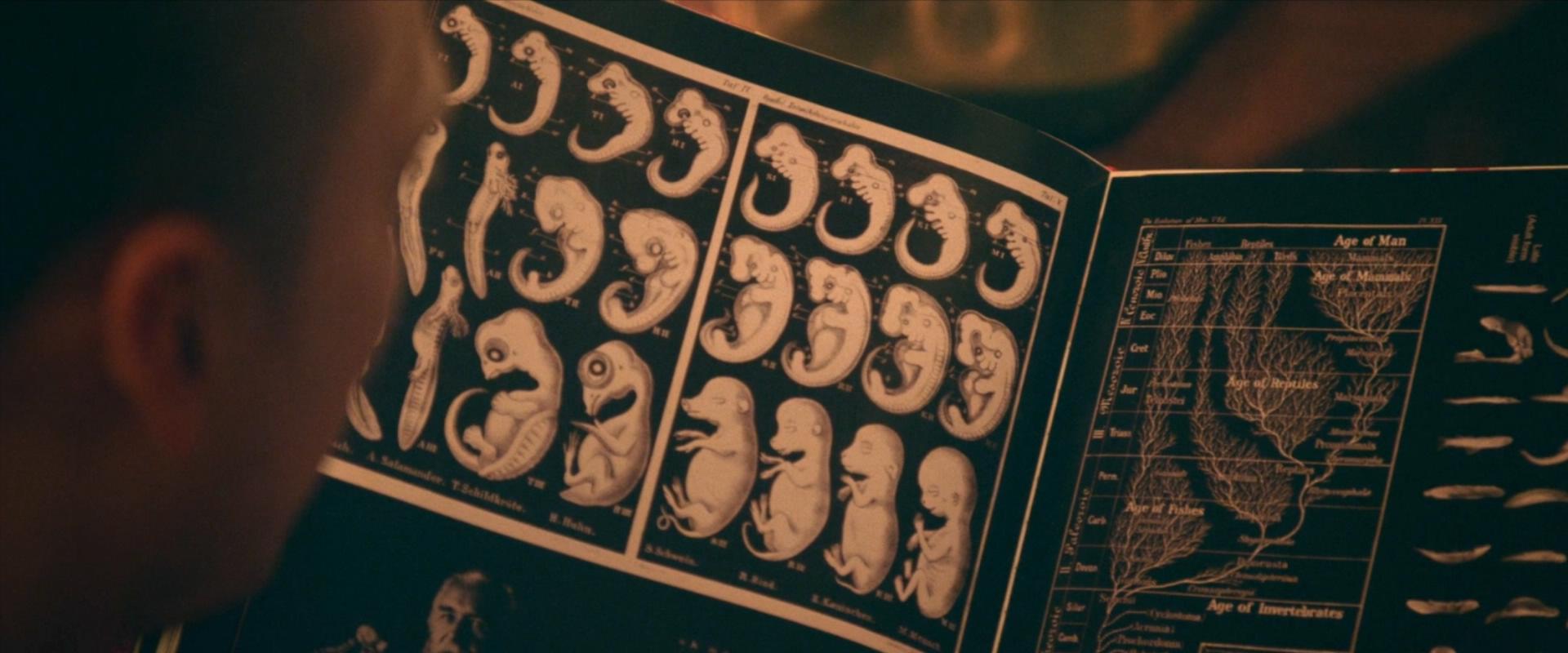 爱在初春惊变时剧照的剧照