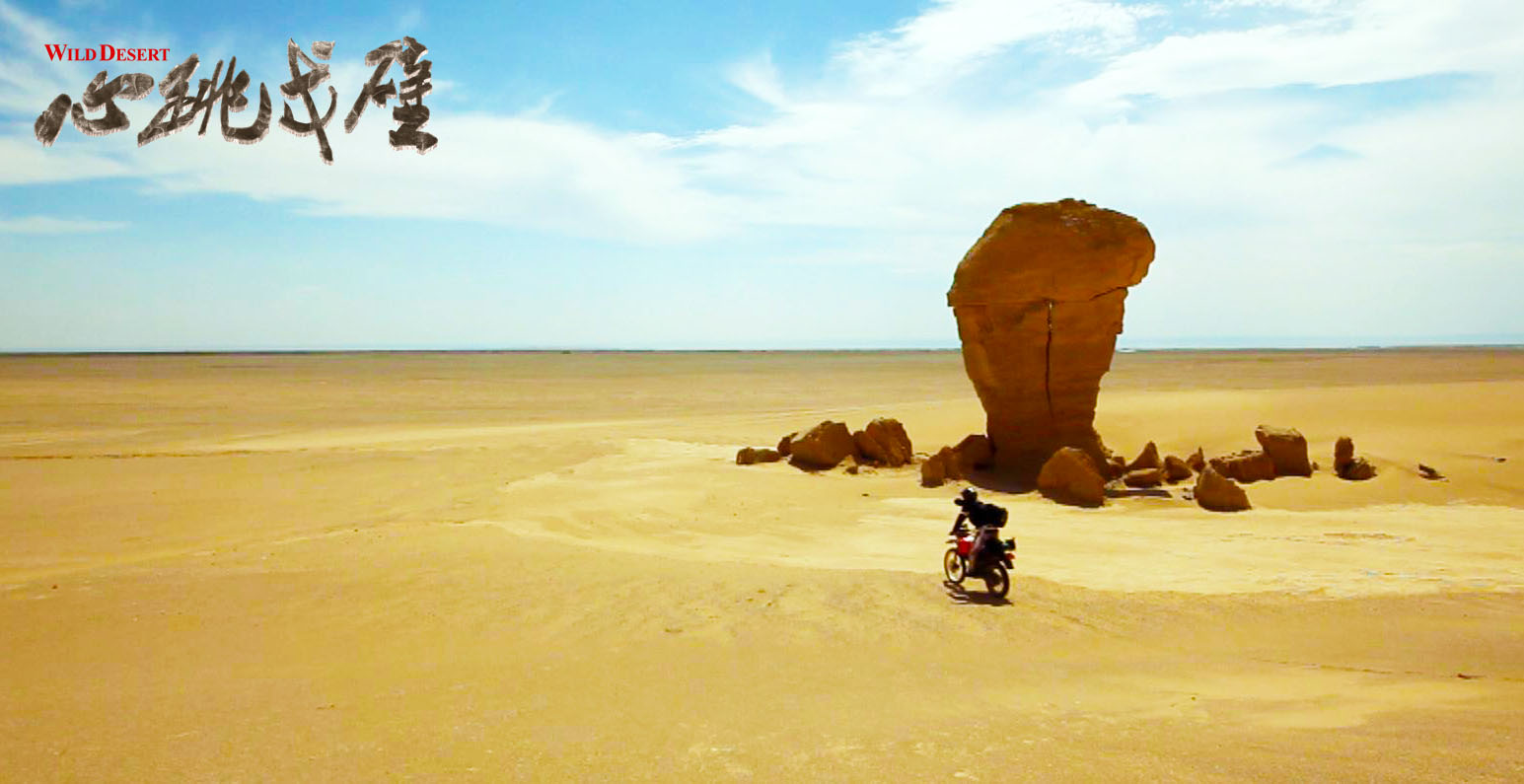 心跳戈壁剧照的剧照