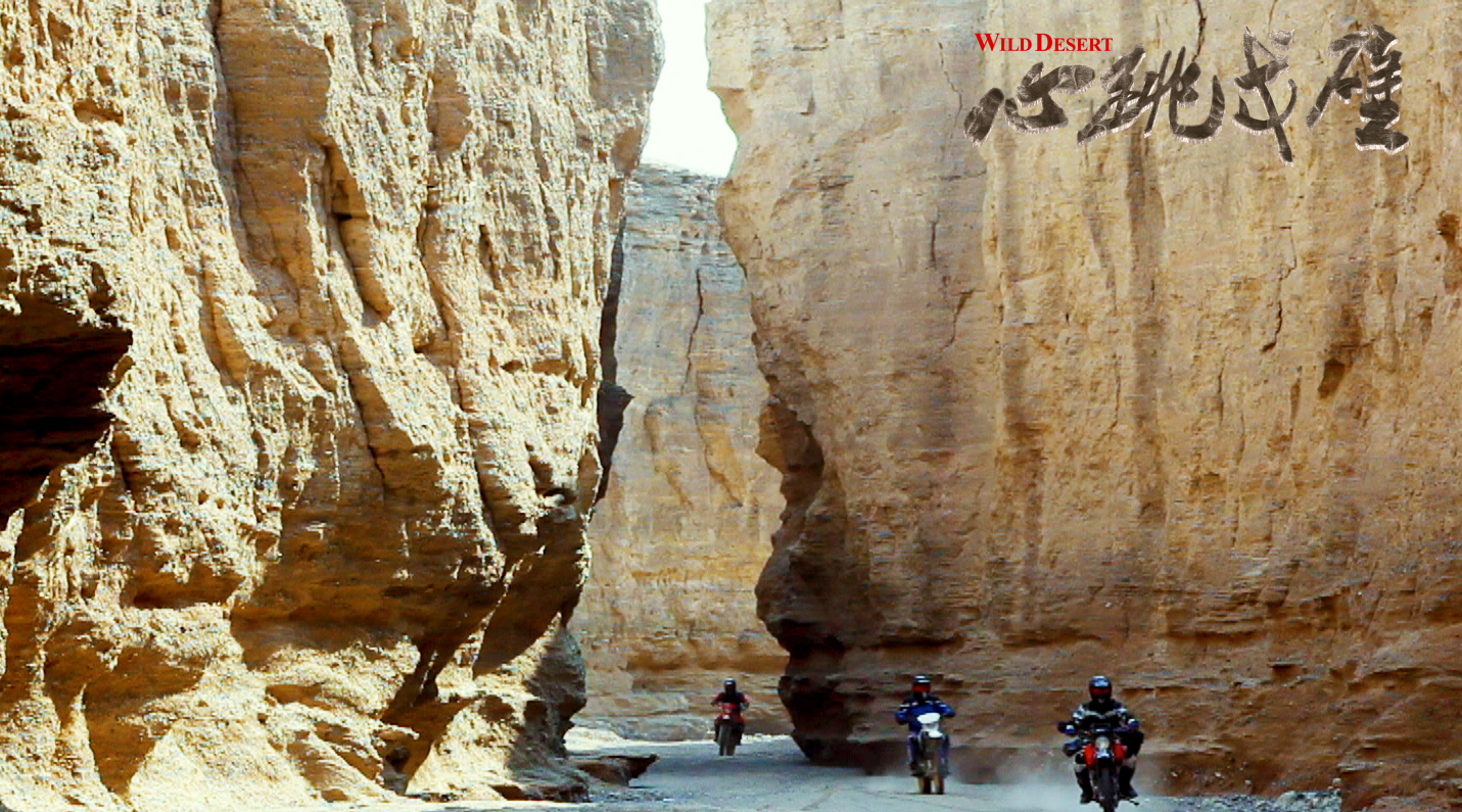 心跳戈壁剧照的剧照