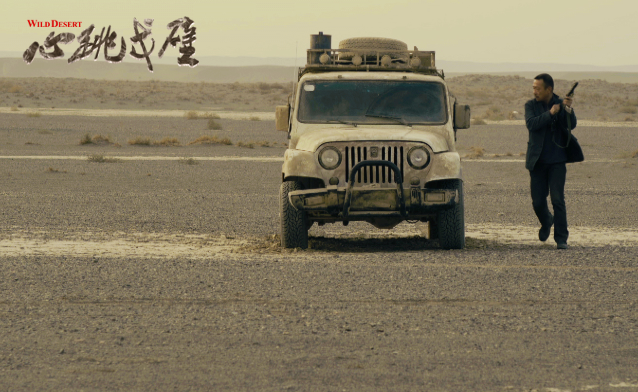 心跳戈壁剧照的剧照