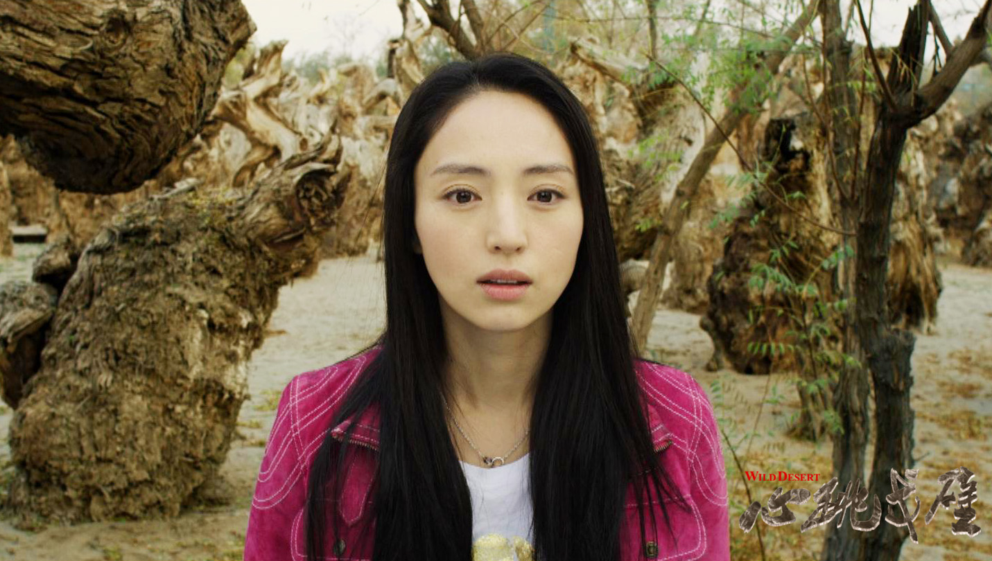 心跳戈壁剧照的剧照