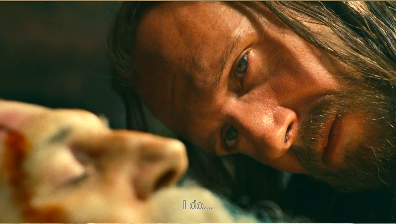 诸神之怒剧照的剧照