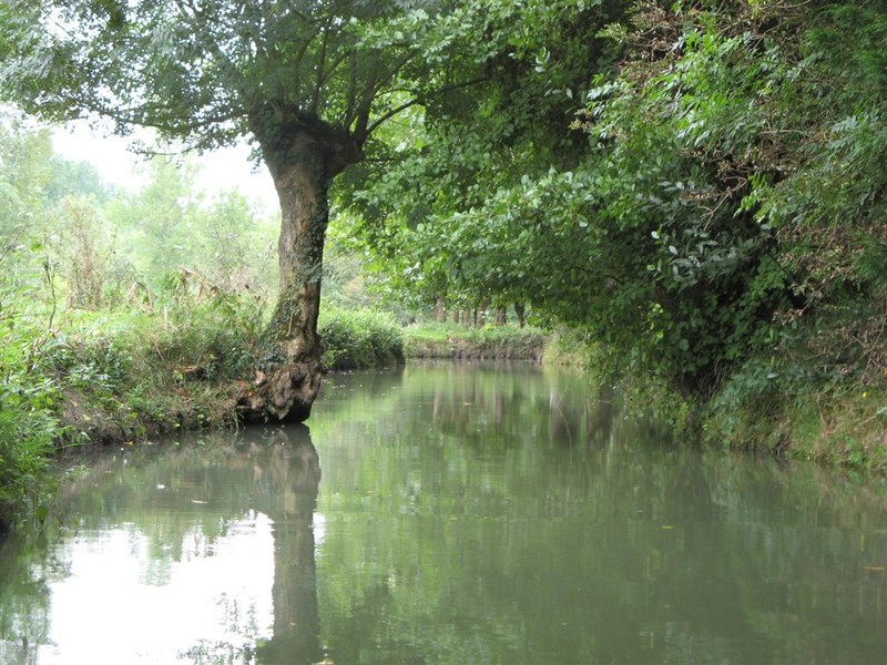 清水湾的孩子剧照的剧照