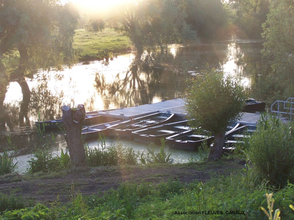 清水湾的孩子剧照的剧照